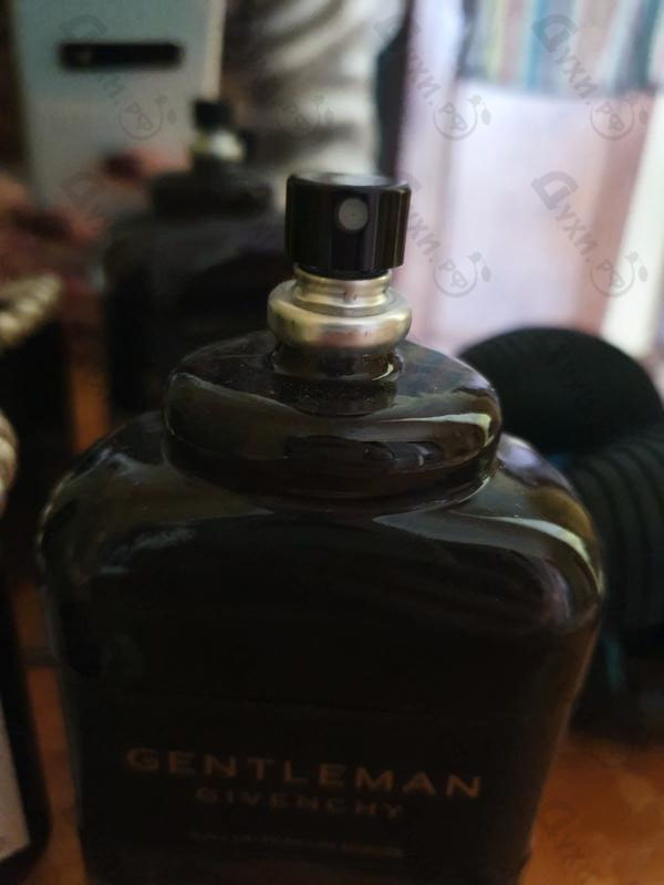 gentleman boisee